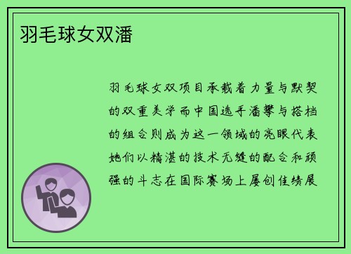 羽毛球女双潘